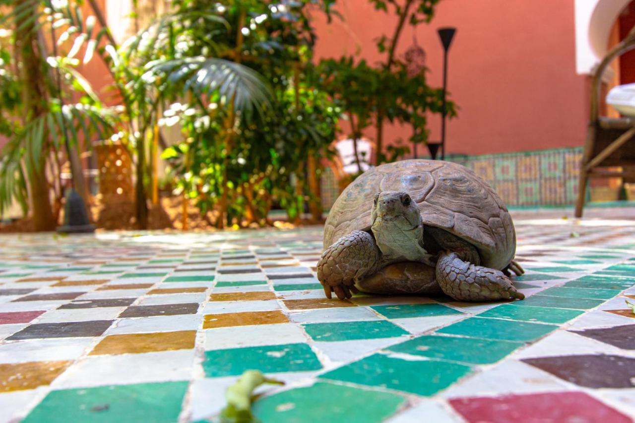 Riad Kaiss By Anika Marrakesz Zewnętrze zdjęcie